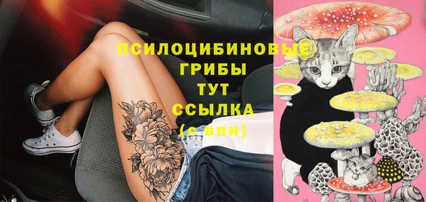 СК Лиски