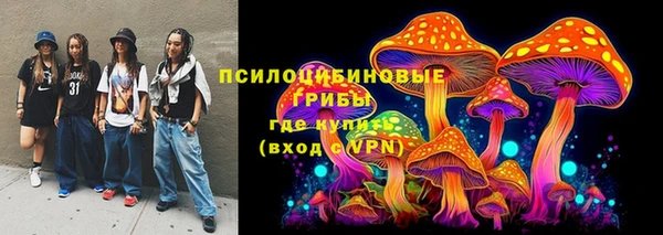 соль курить ск Липки