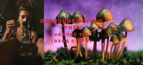 Альфа ПВП Лихославль