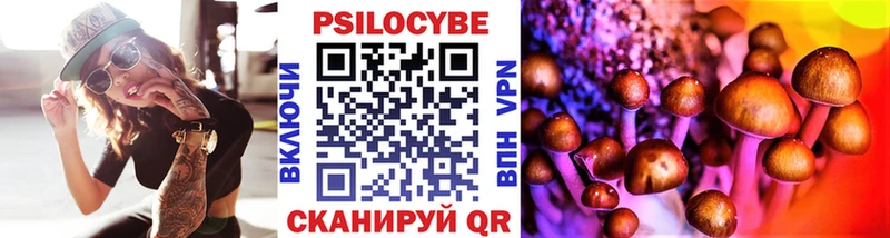 сколько стоит  Семёнов  Псилоцибиновые грибы мухоморы 